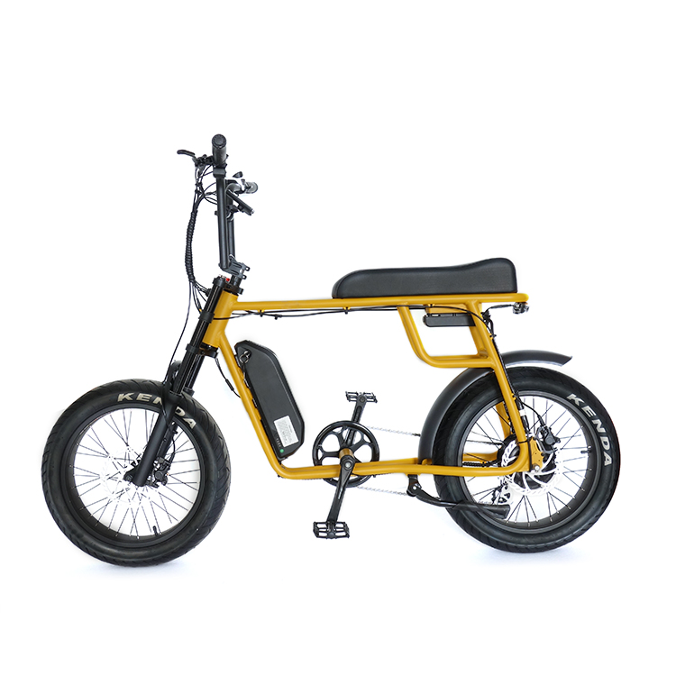 Большой радиус действия ebike 1000 Вт Электрический велосипед с мотором Mac hub Амортизационная подвеска передняя вилка