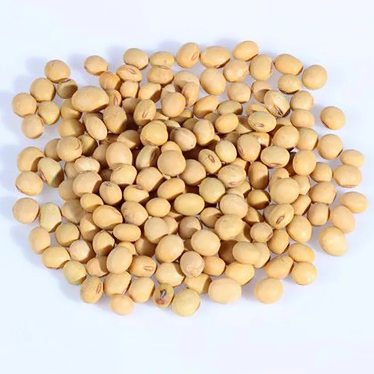 High Quality Wholesale Yellow Soybean Premium Beans