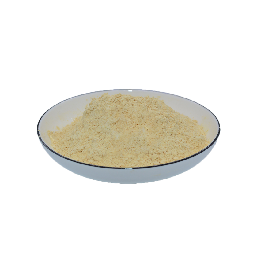 Natural organic powder ginger extract on sale