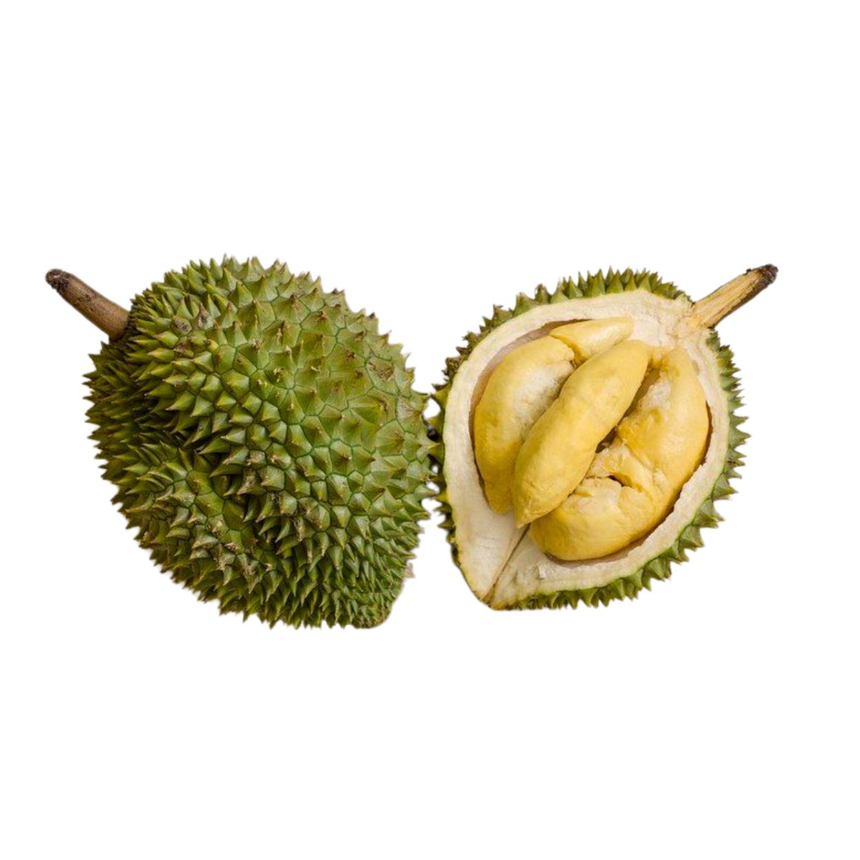 High Quality Fresh Durian Top Fruits Tropical Fruit Durian Fresh Cheap Price Vietnam Durian