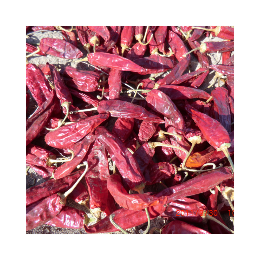Hot Selling High Quality Red Dry Spicy Qin Chilli