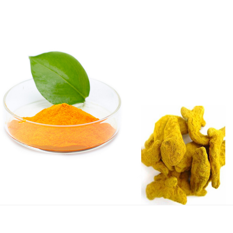 Factory inventory natural curcuma longa turmeric extract powder