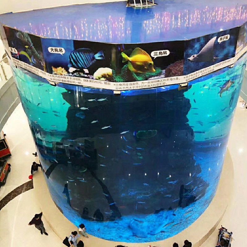 Factory Eco-friendly New style large display round acrylic fish tank