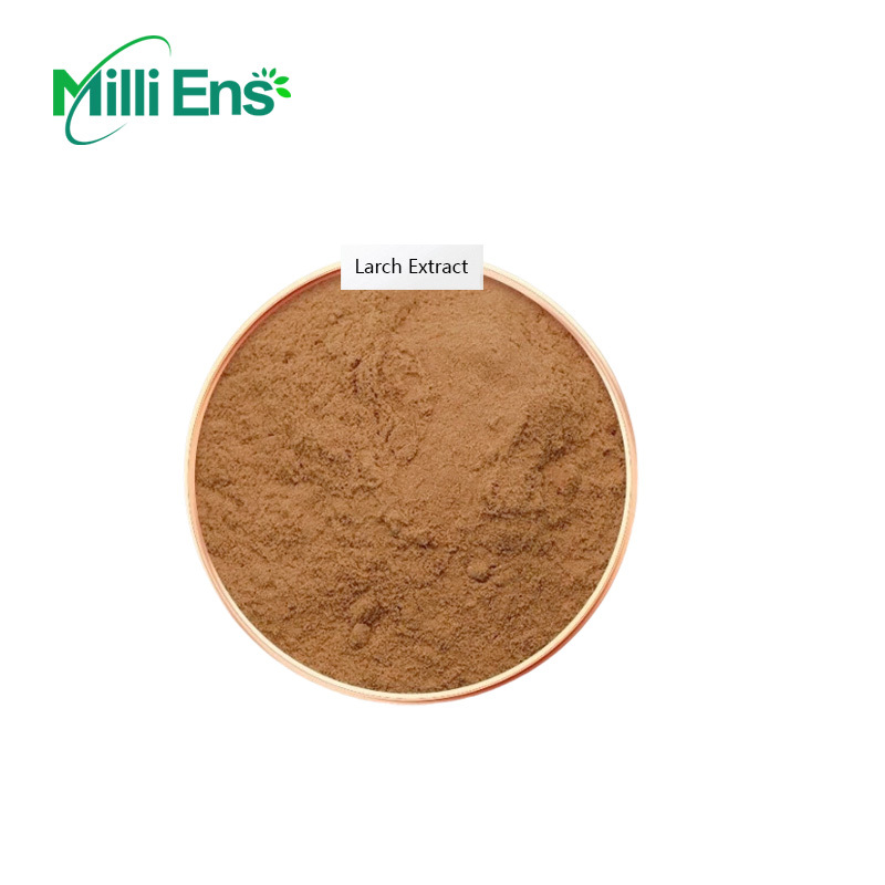 Factory Price Larch Extract Powder Larch Arabinogalactan Berk Extract