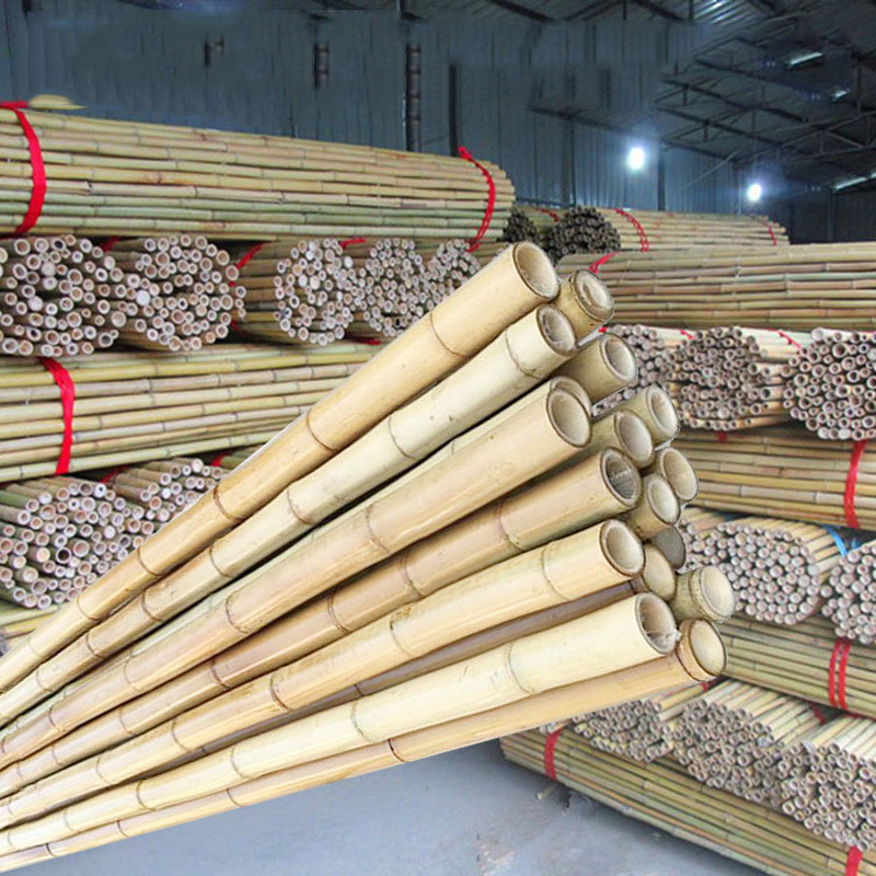 Foundry Durable Artificial Bamboo Outdoor