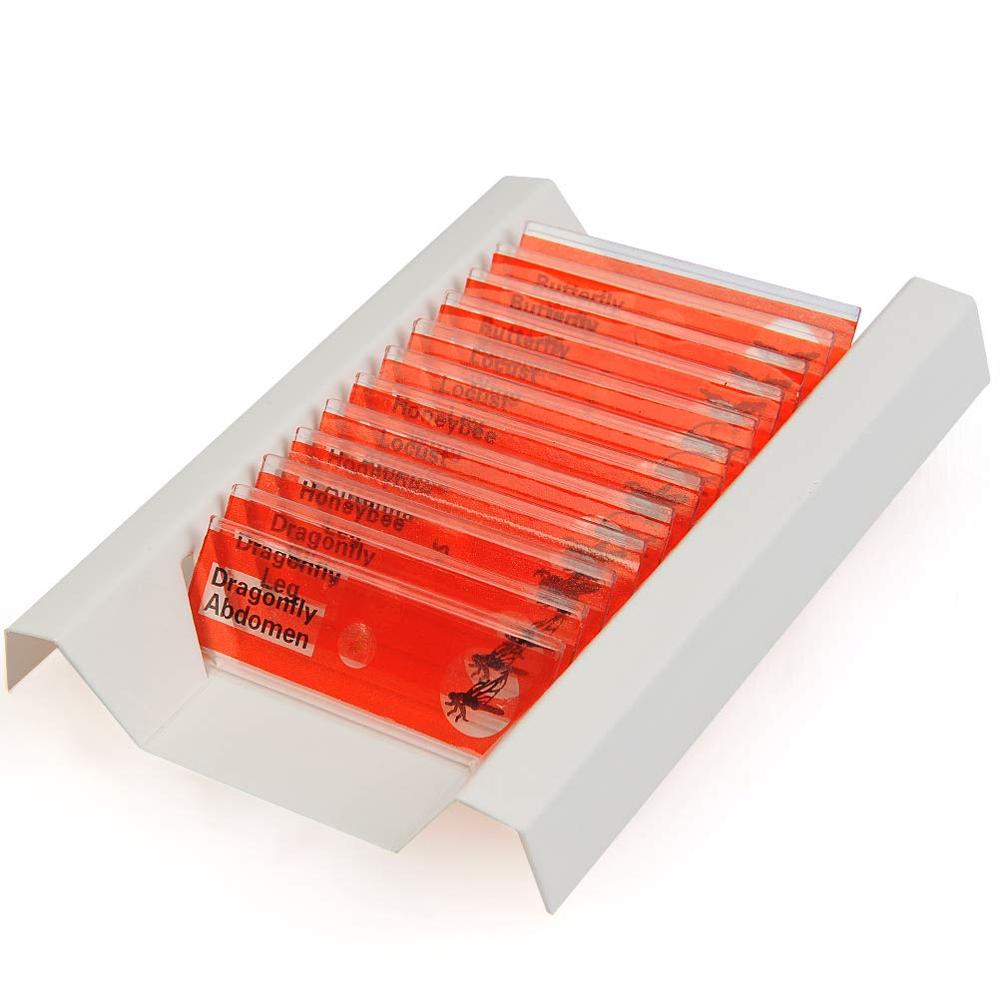 12pcs microscopes red kit about Insects prepared microscope plastic slides for children science education
