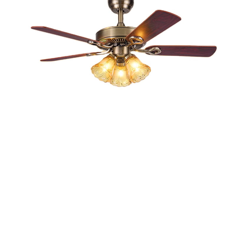 China Professional Manufacture Fan Light 5000k Led Ceiling Fan Light For Home