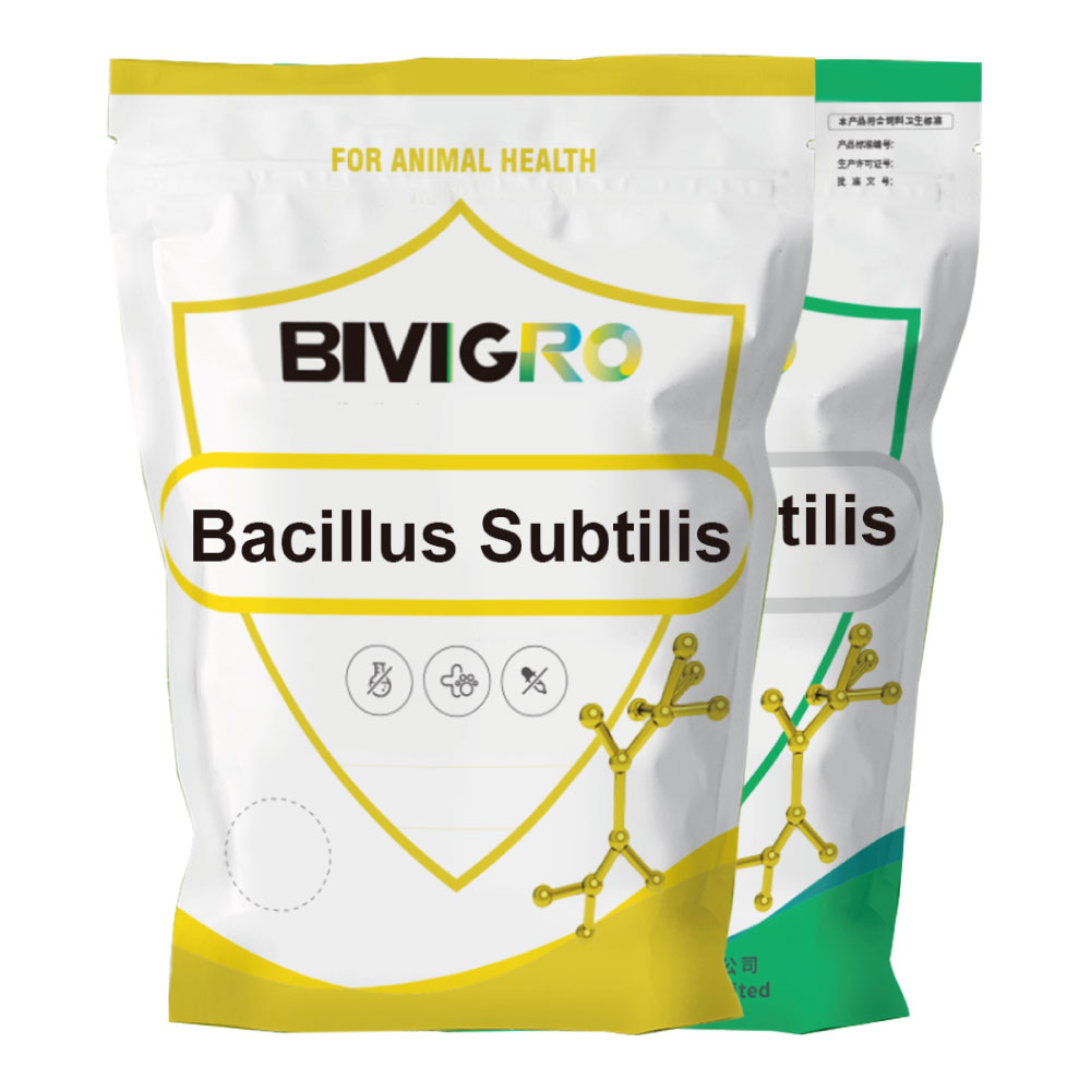 Aquatic Probiotic Water Treatment Bacteria Bacillius Subtilis Bacillus Licheniformis