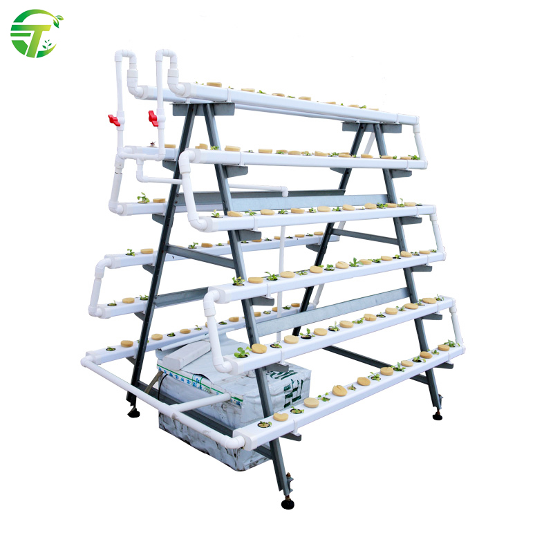 A Frame PVC Pipe Hydroponic System Vertical Grow Systems