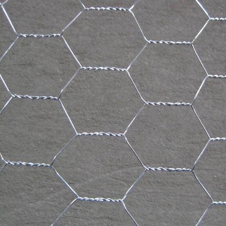 Hot Style high quality hexagonal wire mesh/chichen mesh/galvanized netting of CE Standard