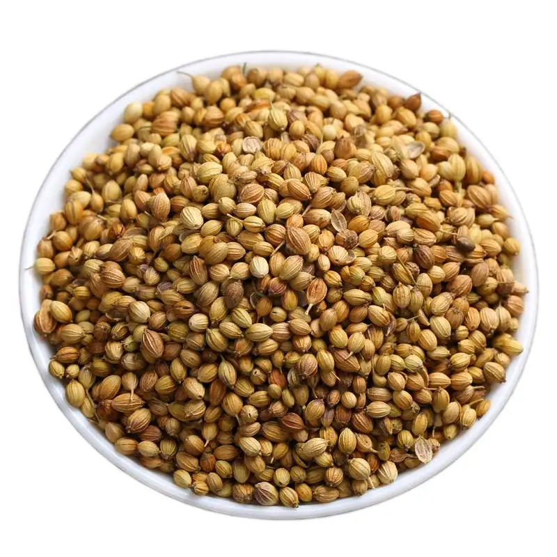 high quality pure coriander seeds
