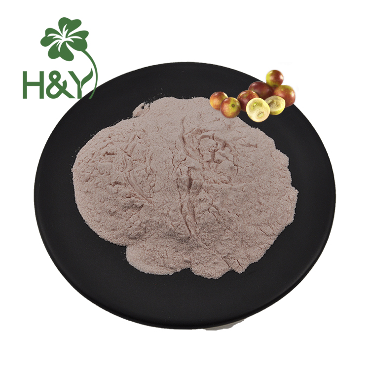Органический порошок Camu, органический порошок Camu, экстракт витамина c