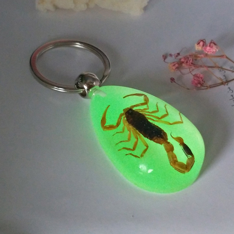 Luminous Scorpion Keychain New Luminous Product Real Crab Key Chain Bag Car Keyring Wholesale