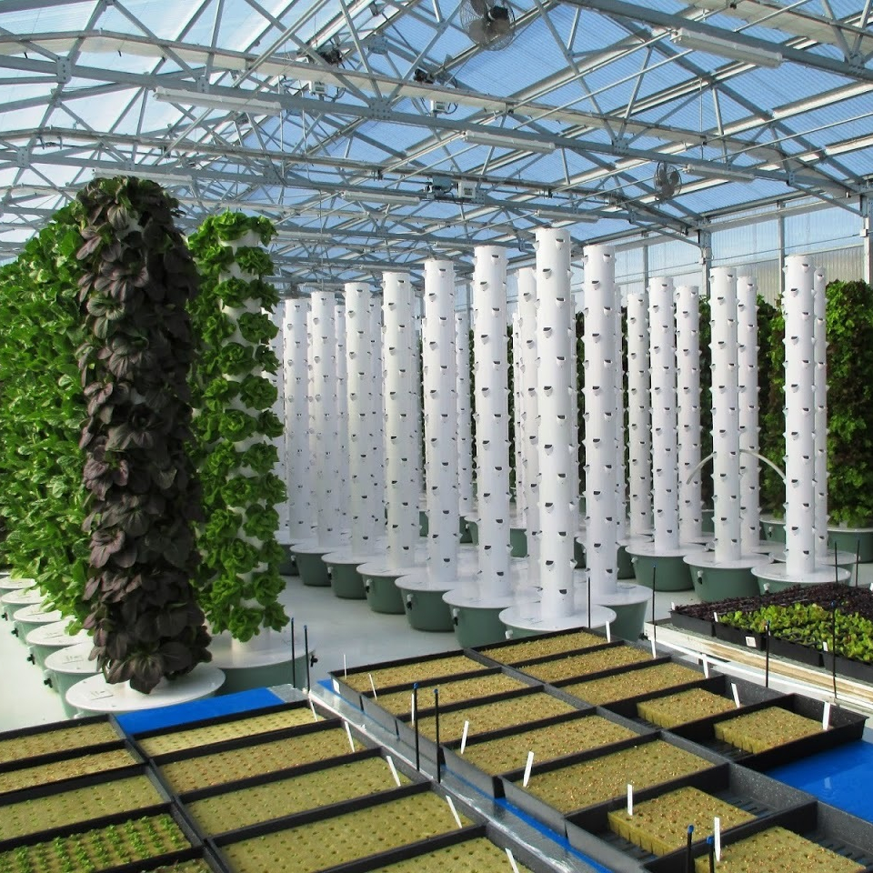 Vertical Aeroponics Systems Greenhouse