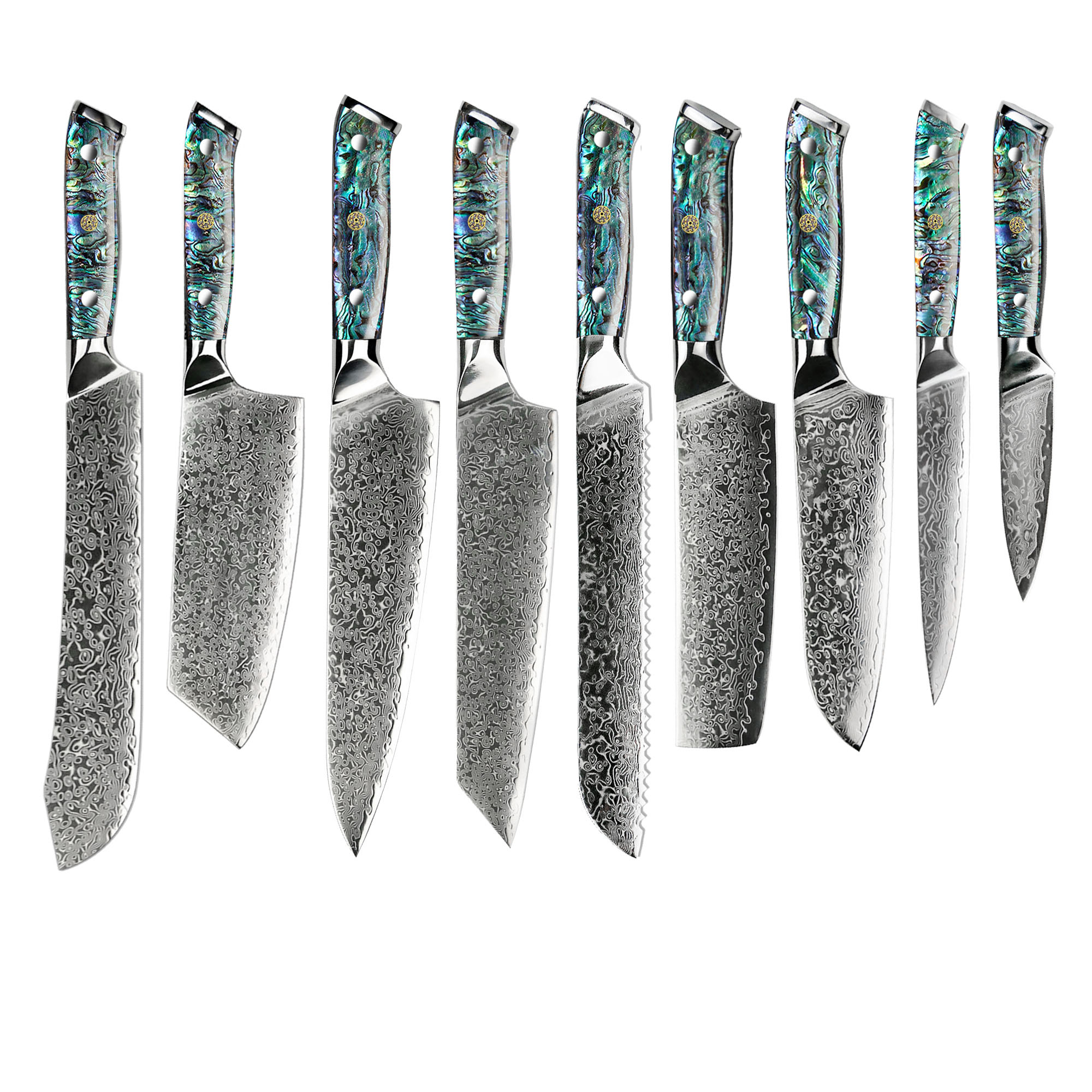 Professional kitchen knives japan Abalone handle 10pcs Damascus VG 10 Chef Knife Set with gift box