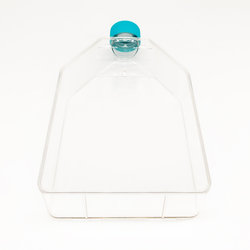 Custom Oem Professional Bacterial Culture Flasks Sterile Disposable Cell Culture Flask