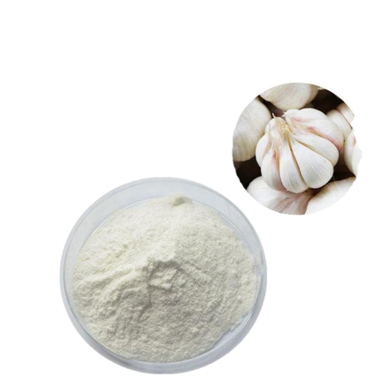 Bulk sale Garlic Extract 1% Allicin high quality Food grade garlic extract powder with free sample