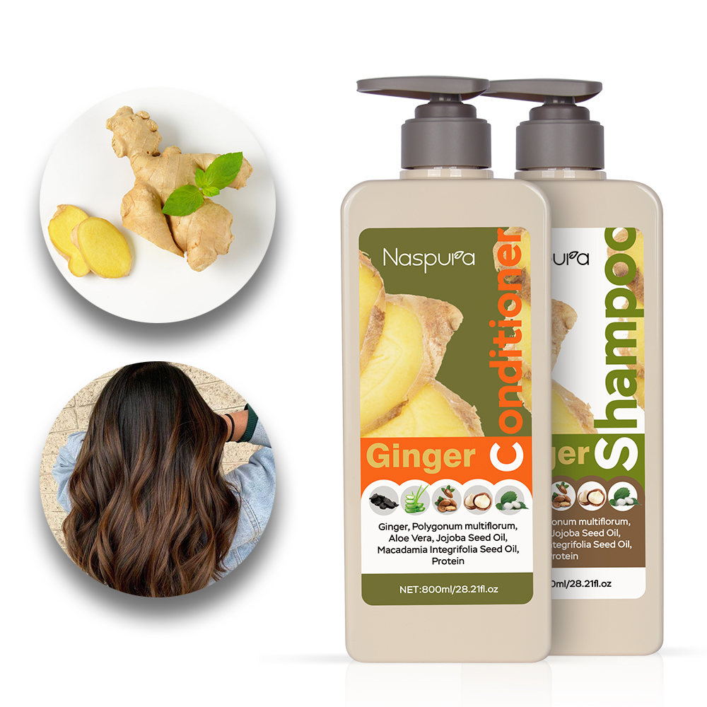 wholesale superior quality hair care oil control hair loss prevention strong roots ginger hair conditioner for repairing