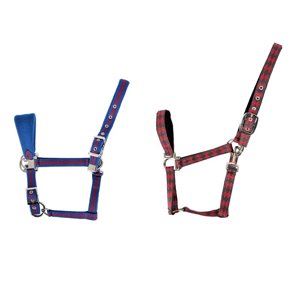 NL13101 Horse adjustable padded halter