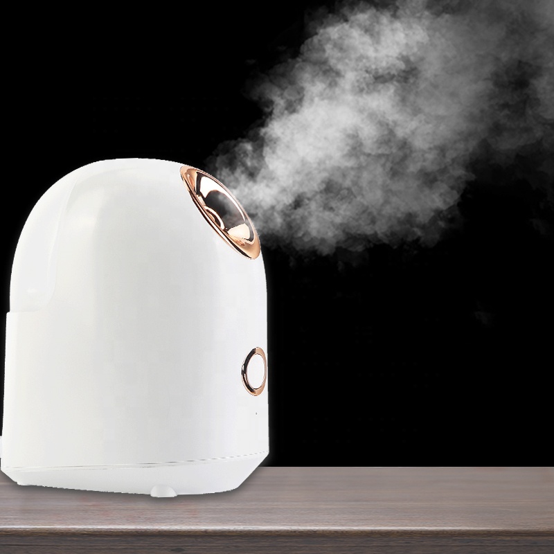 Wholesale Portable Oxygen Facial Spa High Frequency Professional Mini Facial Steamer Machine Usb White OEM ABS Z1 Ozone
