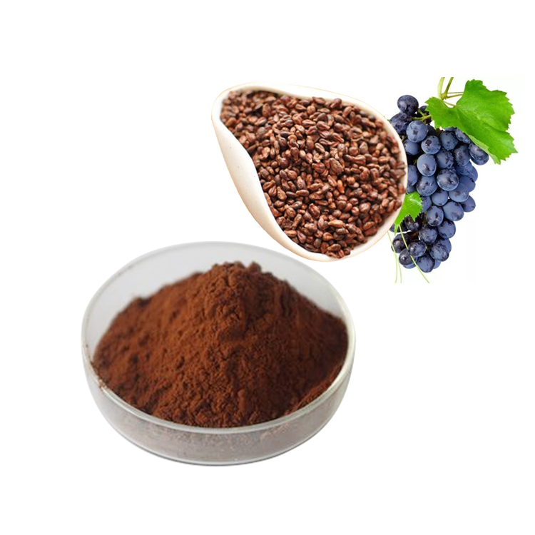 Wholesale Price Plant extracts Oligomeric Proanthocyanidins/ OPC/ Procyanidins Grape Seed Extract