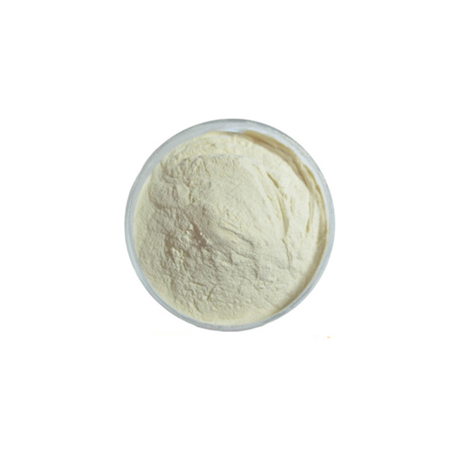 High Quality Pure Hydrolyzed Collagen Powder Bovine Collagen Powder