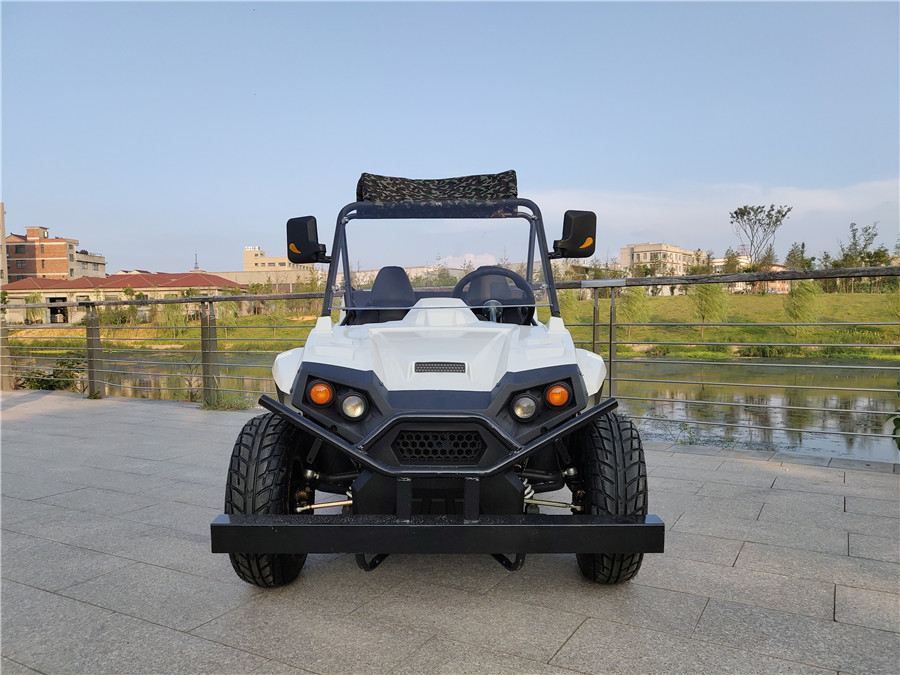 4x4 250cc 2200 Вт мини газа 200cc 2000w Китай 1800 Вт взрослые 150cc 1500 Вт Электрический 1000w Utv 800cc 1000cc