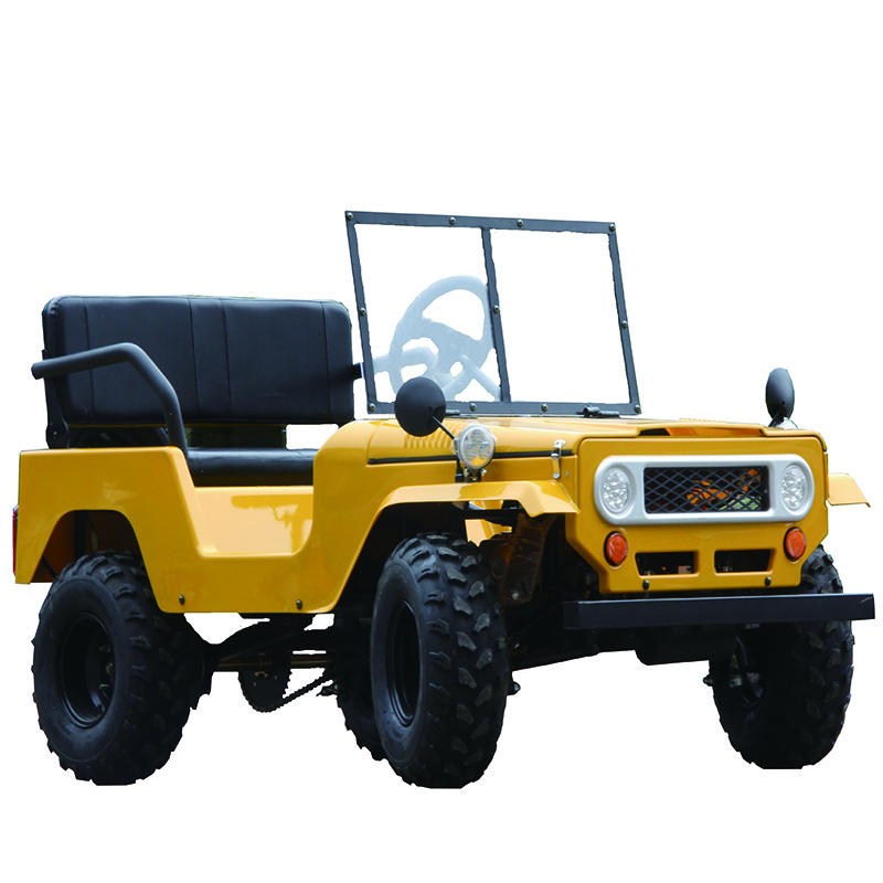 Новый стиль 150CC mini-willys Багги Детские Автомобили mini utv