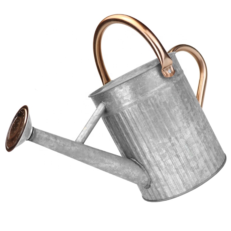 1 Gallon Galvanized Steel Metal Watering Can with Anti-rust Powder Coating and Removable sprayer for Indoor and Outdoor Watering