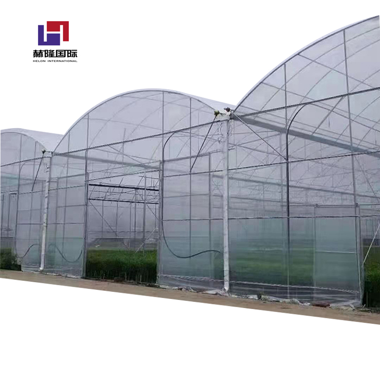 Многопролетная пластиковая пленка Skyplant, многопролетная пленка для теплиц, стальная рама для овощей