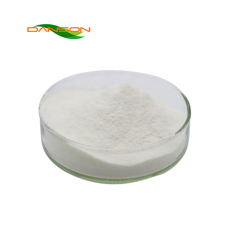 Creatine Monohydrate In Stock Raw Powder Creatine Monohydrate Sport Supplement Creatine Monohydrate