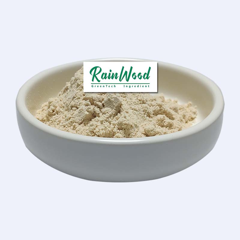 Поставка 100% натурального органического лукового порошка Rainwood, высококачественный обезвоженный белый луковый порошок по оптовой цене