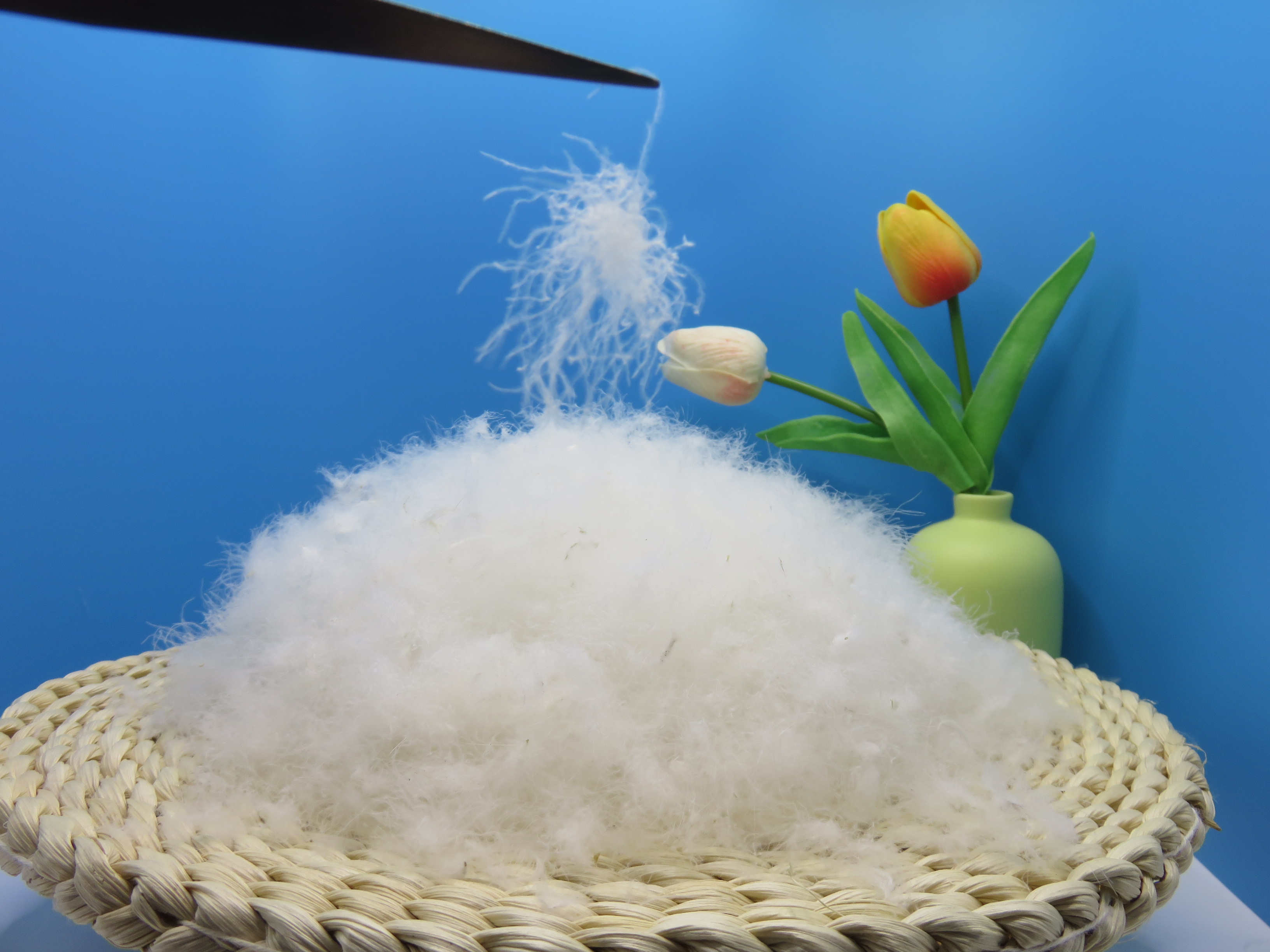 70% White Goose down Feather Washed Pattern Product