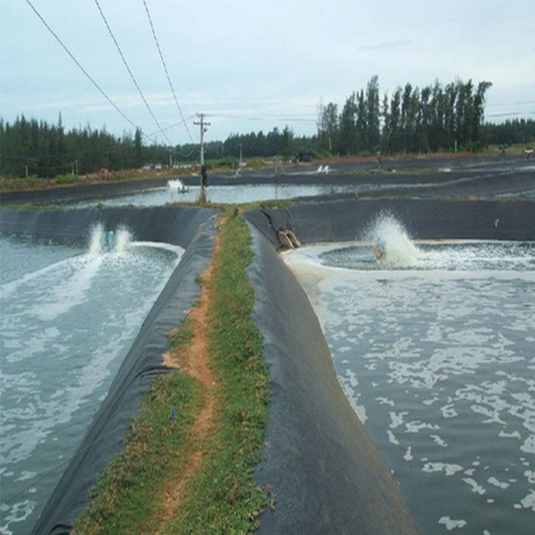 Professional supplier hdpe geomembrane pond swt-n900 white hdpe geomembrane 1mm hdpe geomembrane biogas