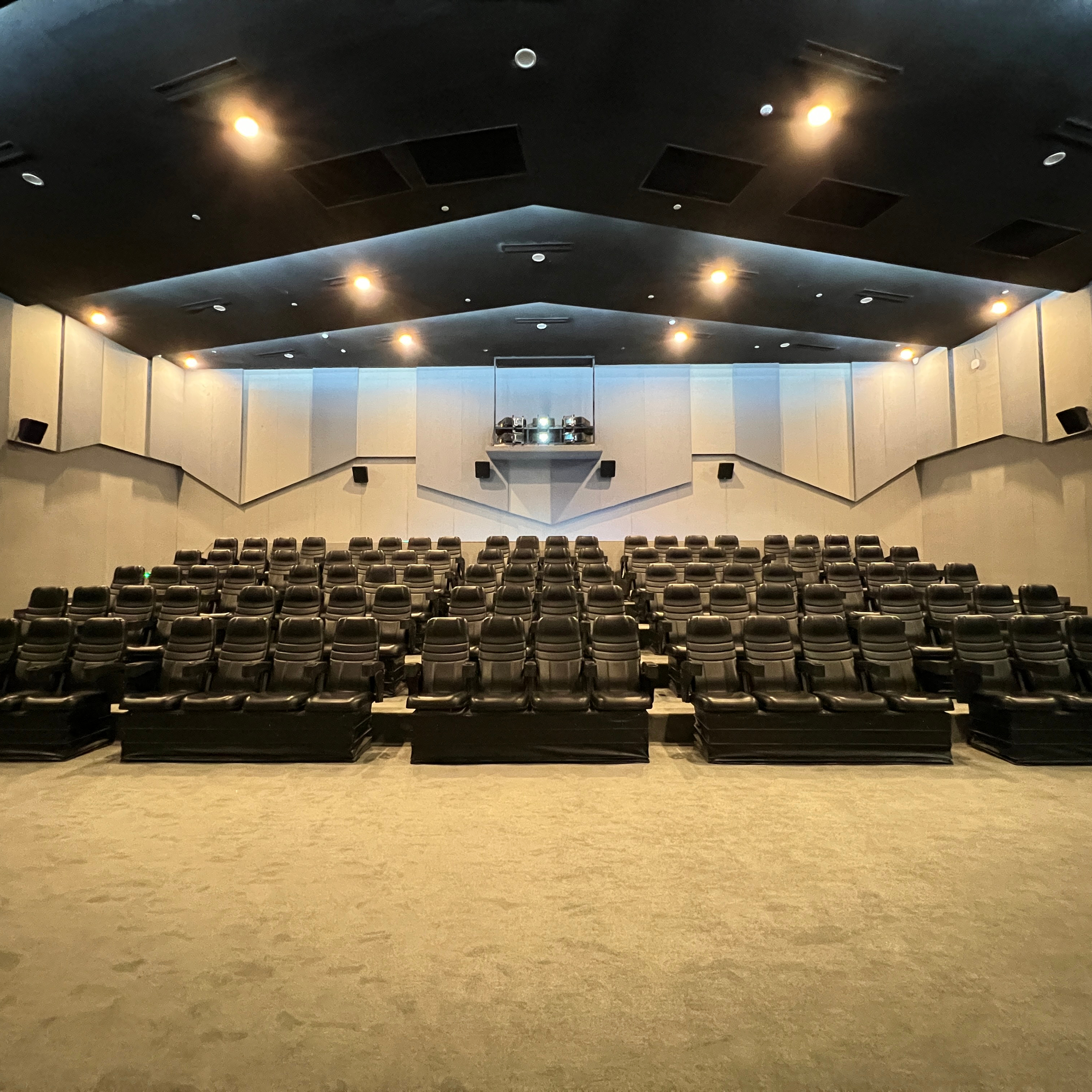 Professional 4D Motion Cinema for Theme Park