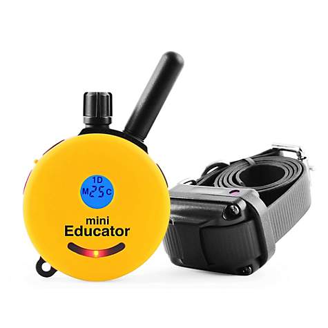 ET-300 MINI EDUCATOR 1/2 MILE REMOTE E-COLLAR