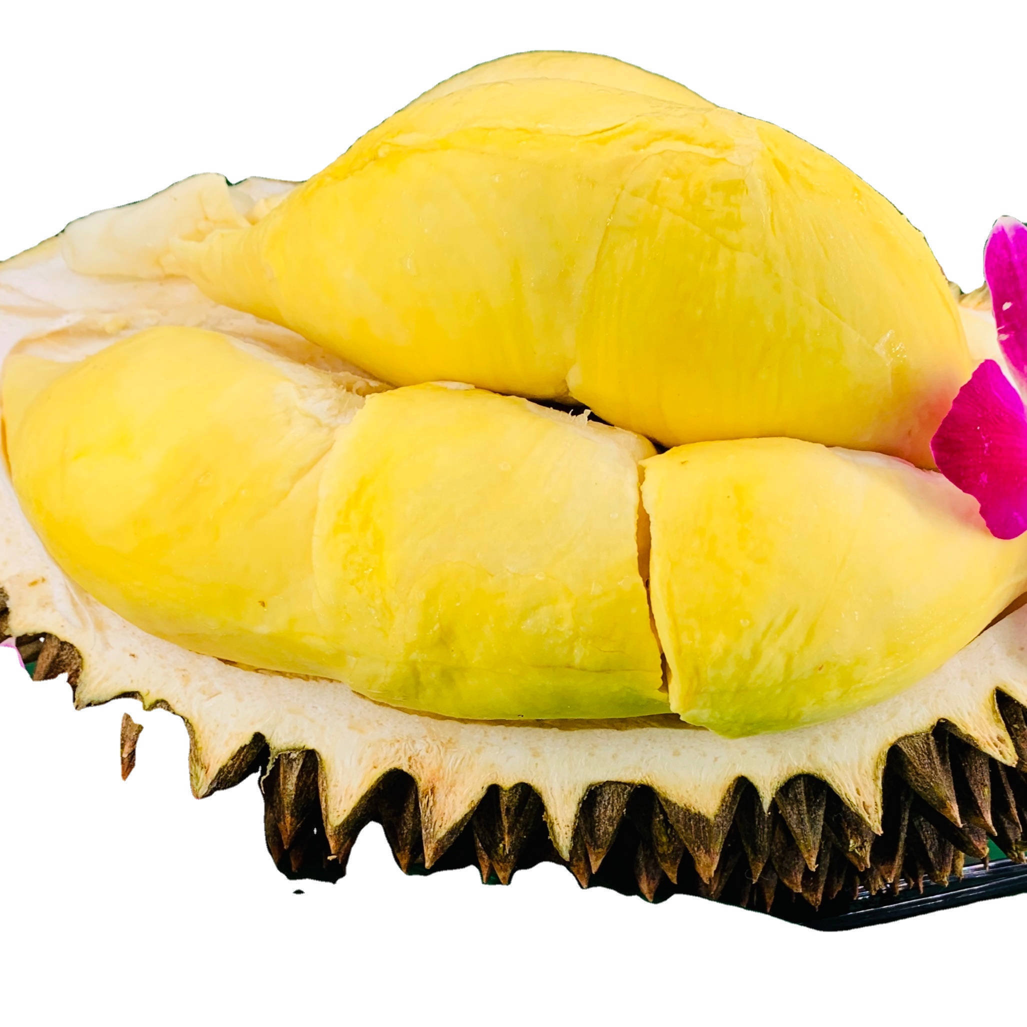 Premium Quality & King of fruit Kan Yao from Thailand Fresh Durian Fruits Product