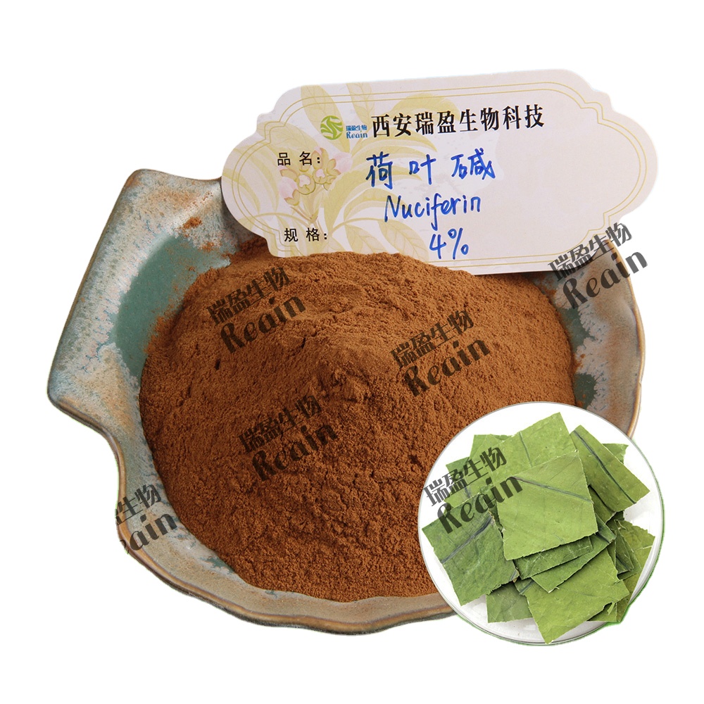High Blood Pressure Fatty Liver Treatment Nutritional Supplements Lotus Leaf Extract 4% Nuciferine