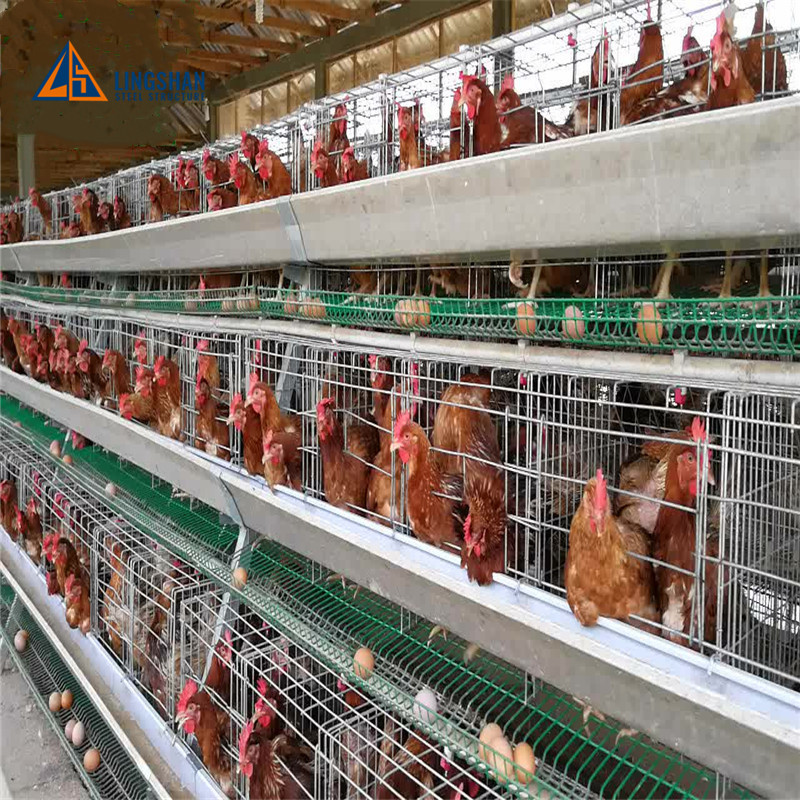Cheap Structural Steel Chicken Building Plans Chicken Broiler Poultry Farm