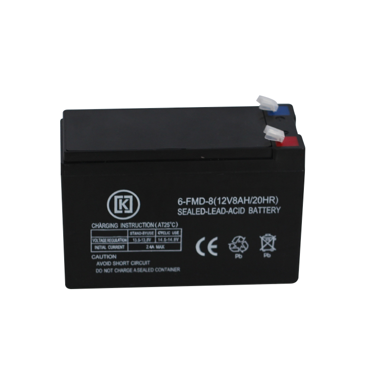 Electricity Storage Deep Cycle Battery Bike 12V Lead Acid Agricultural Sprayer Battery For Adults