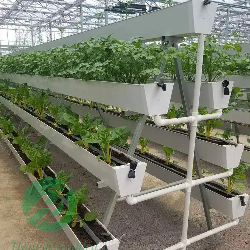 Agricultural Greenhouse Soilless Culture And Strawberry Plant Growing Hydroponics System