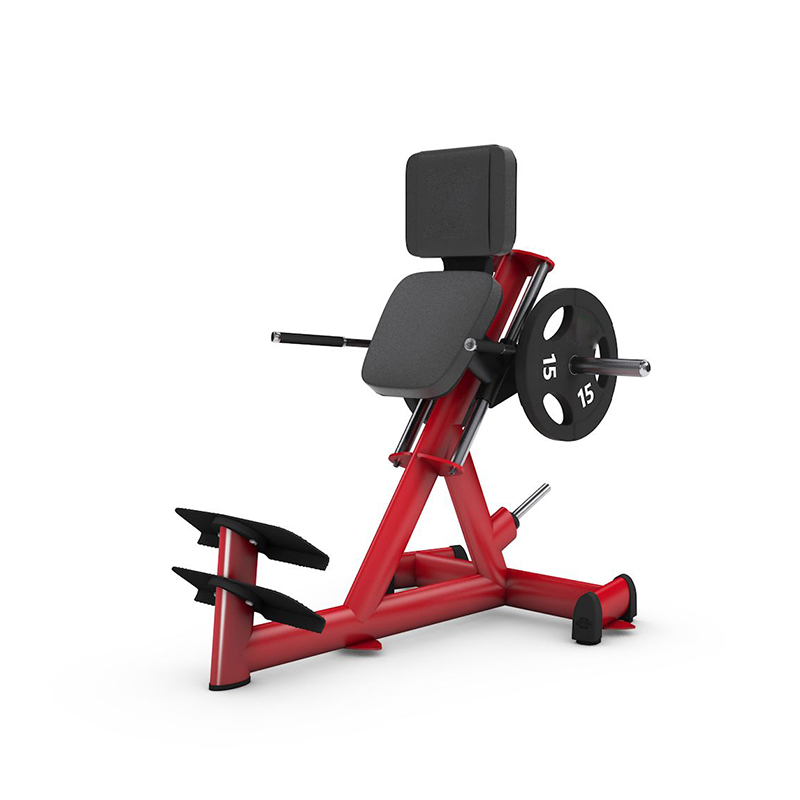Supply high quality gym equipment exercise machine gym 80 Calf Machine for gym centre