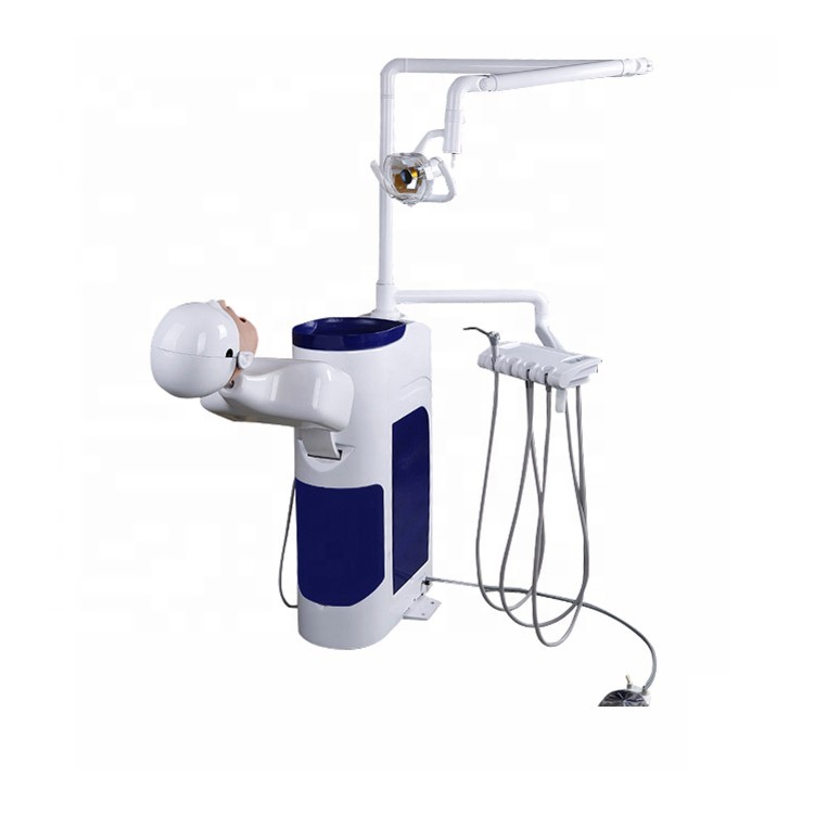 DT dental manikin advanced phantom head