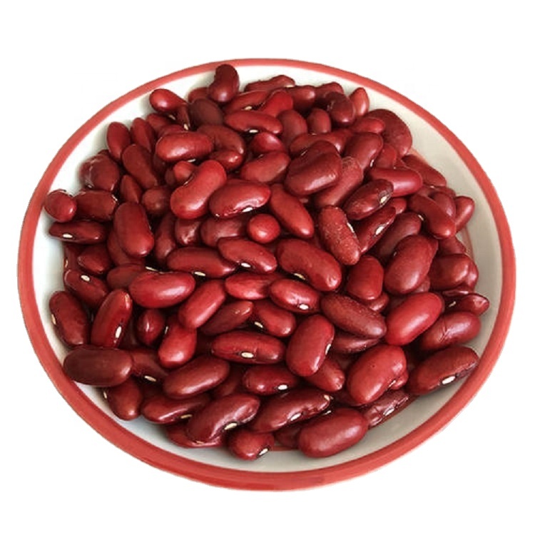 Новый crop2020 дркб/раджма/выбраны h.p.s Размер: 190-210pcs/100g для продажи в провинции Шаньси происхождения темно-красная фасоль