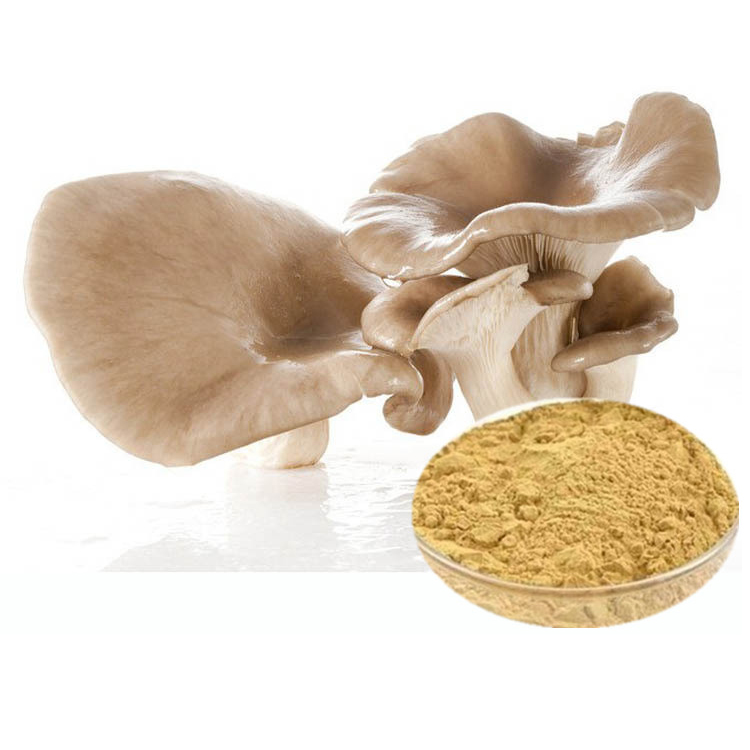 Экстракт устричных грибов mycelium 30% Polysacharides от UV-VIS Pleurotus Ostreatus powder