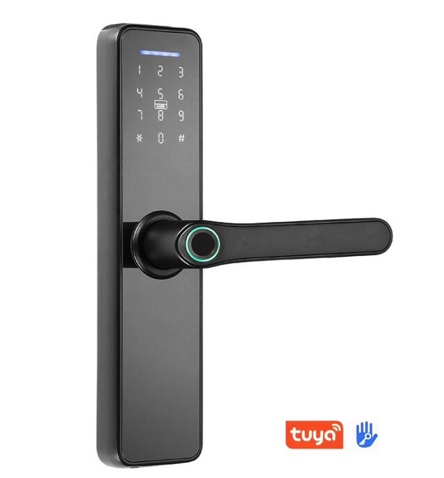 2021 Новый ttlock Fingerprint смартфон дверного замка электронная электрическая приложение Tuya Wi-Fi смарт замок Цифровые дверные замки