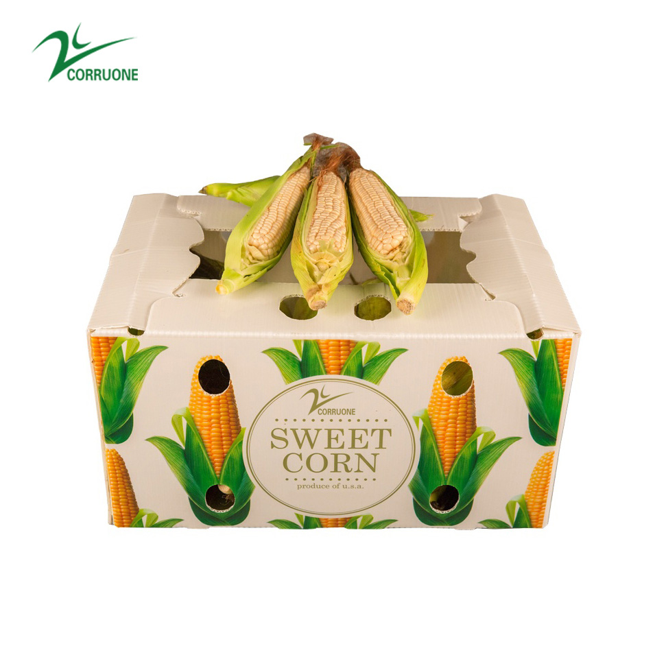 Factory Price Corn Container And Broccoli Box Vegetables Boxes And Vegetables Plastic Packaging Box And Caja De Plastico