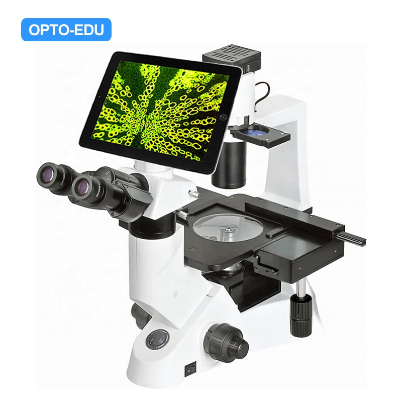 Цифровой инвертированный Биологический микроскоп с ЖК-дисплеем OPTO-EDU A33.1005