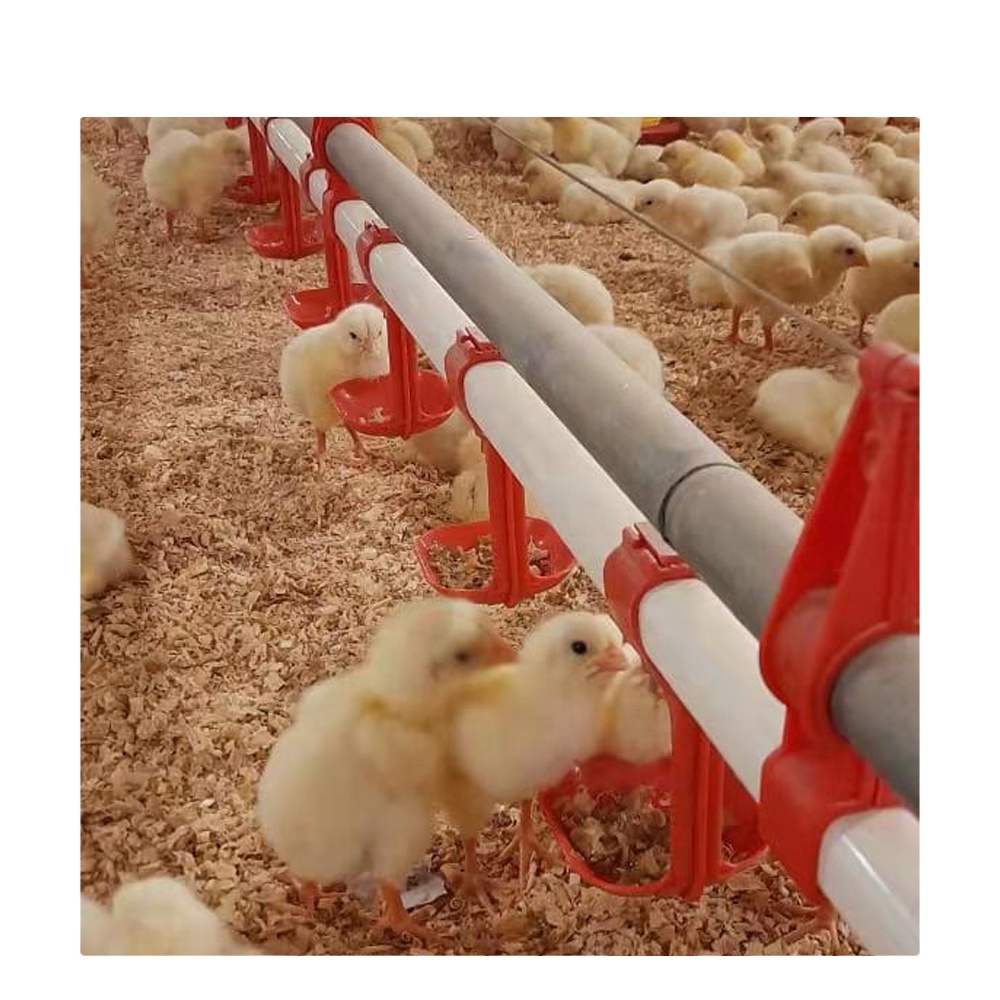 KEHE Hot Sale Poultry Automatic Feeders And drinkers Chicken Water drinker for Chicken Broiler