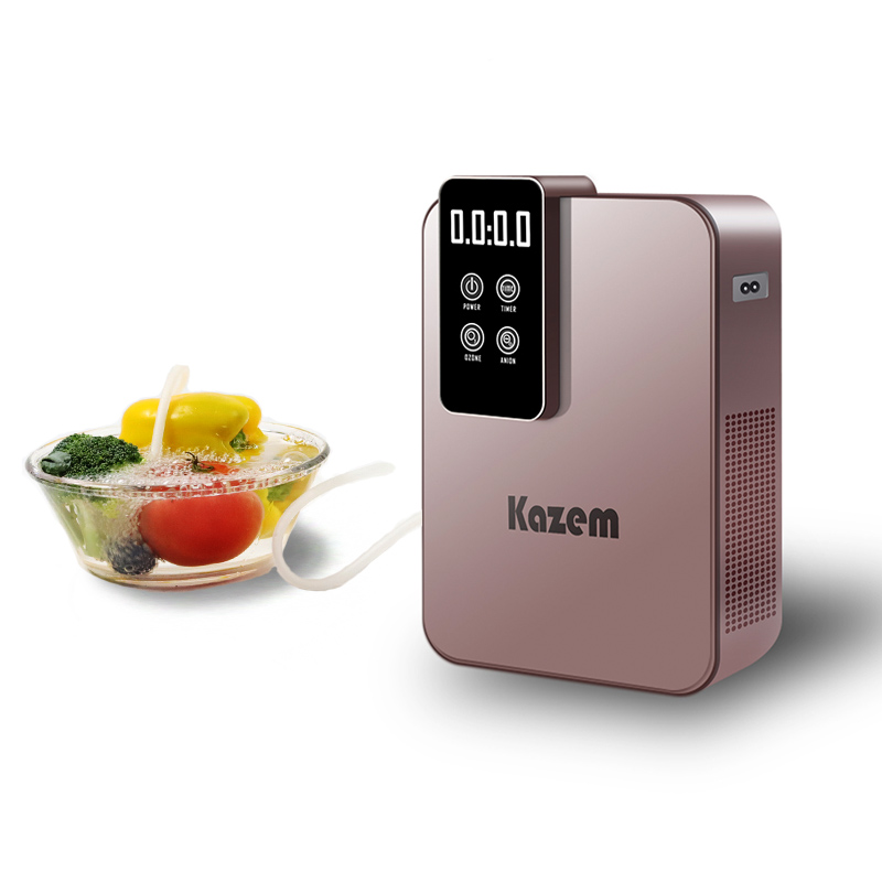 500mg/h O3 Ozone Generators Ozonator Fruits And Vegetables Washer Negative Ion Air Purifiers
